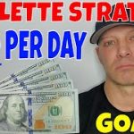 Roulette Strategy- Christopher Mitchell Reveals How To Make $500 A Day Playing Online.