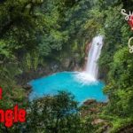 The Jungle (Craps Strategy)