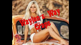 Waylon’s Way Craps Coin Pusher (Craps Strategy)