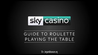 How to Play Roulette | Sky Casino’s Guide to Playing the Roulette Table