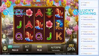 PHP Baccarat Betting Tips of luckygaming
