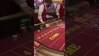 Crapless craps LIVE TABLE ACTION at Ventian Resort Casino Las Vegas