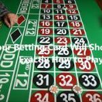 #1 Roulette System! $1 Bets Win $1.021 an Hour!