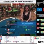 BACCARAT PREDICTOR SOFTWARE | HOW TO WIN BACCARAT | CONTACT US FOR MORE INFOMATION