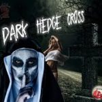 Dark Hedge Cross Craps Strategy by Dylan Skill & Luck