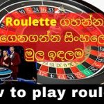 how to play roulette casino #1xbet sri lanka sinhala