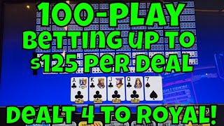 100-Play Video Poker Betting Up To $125 – Dealt 4 to the Royal!