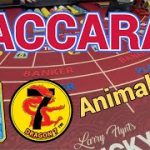 BACCARAT @ Lucky Lady – Animals?!