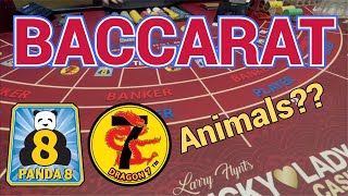BACCARAT @ Lucky Lady – Animals?!