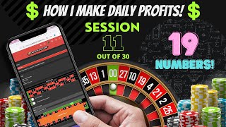 How to make money online: Roulette Strategies Session 11 (19 number roulette strategy)