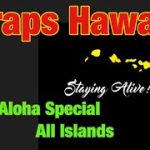 Craps Hawaii  — Showing the Aloha Special $130 All Islands