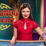 Pragmatic Fortune 6 Baccarat Review