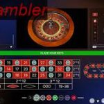 how to play roulette with logarithm strategy( explained in chat box)
