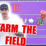 🔥TRUST THE FIELD🔥 30 Roll Craps Challenge – WIN BIG or BUST #202