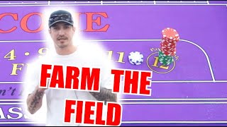 🔥TRUST THE FIELD🔥 30 Roll Craps Challenge – WIN BIG or BUST #202