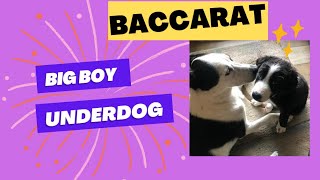 Proven Winning Baccarat Strategy – Big Boy Underdog