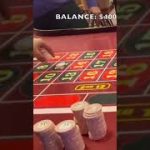 The Best Roulette Player In The World !