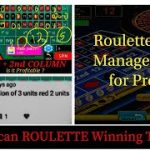 Roulette Winning Strategy. the last number Dozen Bets.