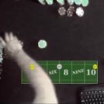 Building a Casino craps strategy using century old betting method (Part 1)