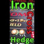 Iron Cross Hedge: How to Play Craps