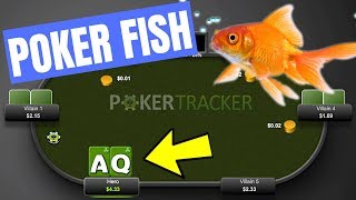 How to Play Against a POKER FISH (Do’s and Don’ts)