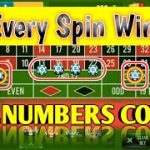 Every Spin Win || All Numbers Cover || Roulette Tricks || Roulette Strategy To Win