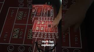 craps table Horn bet explained in 20 seconds.#casino #betting #money #profit