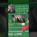 How to Make Money PLAYING BUBBLE CRAPS