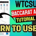 Learn To Use WTCSuite Baccarat App Tutorial Video 1Back to 16Back ( update version Win Loss Pair )