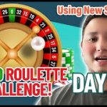 $3,000 Roulette Challenge: I Didn’t Lose With This New Strategy? (Day 4)