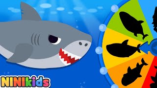 What kind of shark am I? | Colorful Roulette Game for Kids | Baby Shark? whale shark?| NINIkids