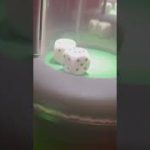 Bubble Craps Tips That Will Help You Win Every Time! #crapsstrategy #memes
