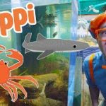 Blippi Learns About Sea Animals! | BEST OF BLIPPI | Blippi Toys | Educational Videos for Kids