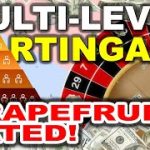 BIG STEADY WINS! “Multi Level MARTINGALE” #roulette #grapefruitsystems