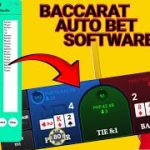 BACCARAT AUTOMATIC BETTING SOFTWARE – 99% Winning Baccarat Coftware #baccarat #BaccaratBot